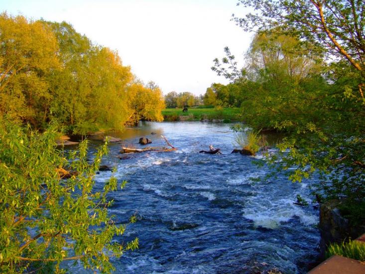 Пугачівка з panoramio.com - Пугачівка