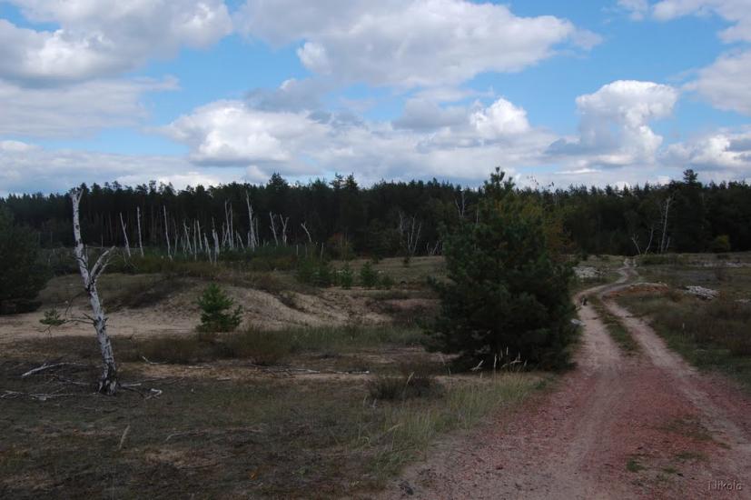 Пурдівка з panoramio.com - Пурдівка