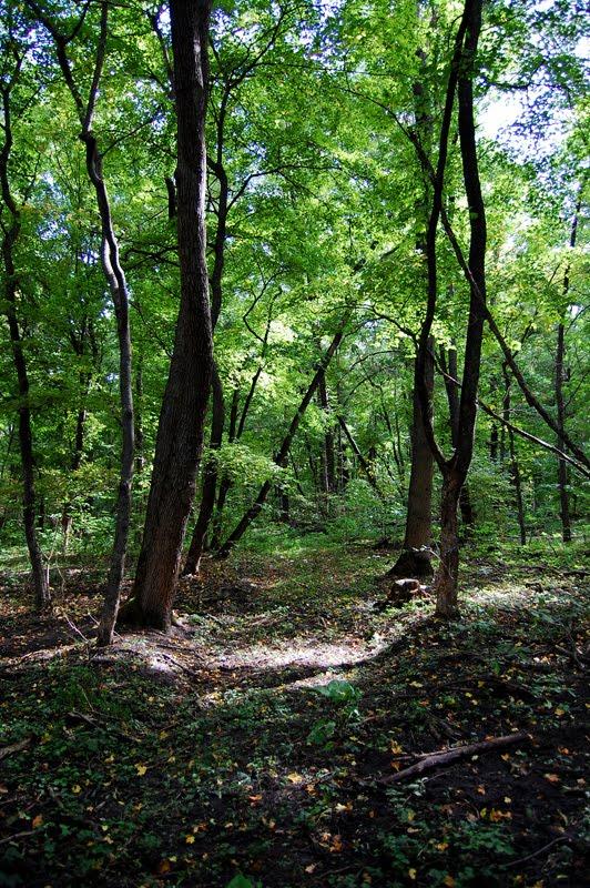 Левківка з panoramio.com - Левковка