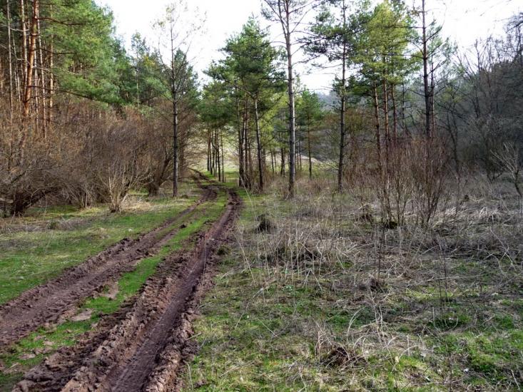 Новосілка з panoramio.com - Новосілка