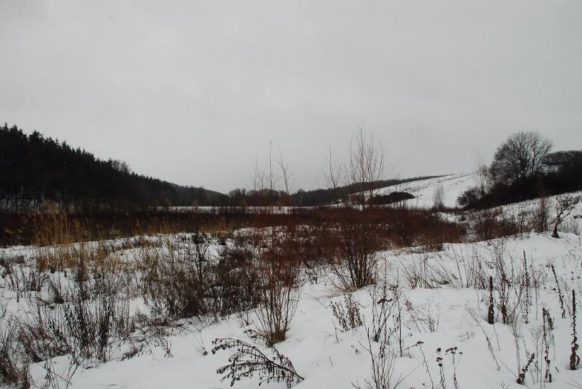 Великі Будища з panoramio.com - Великие Будища