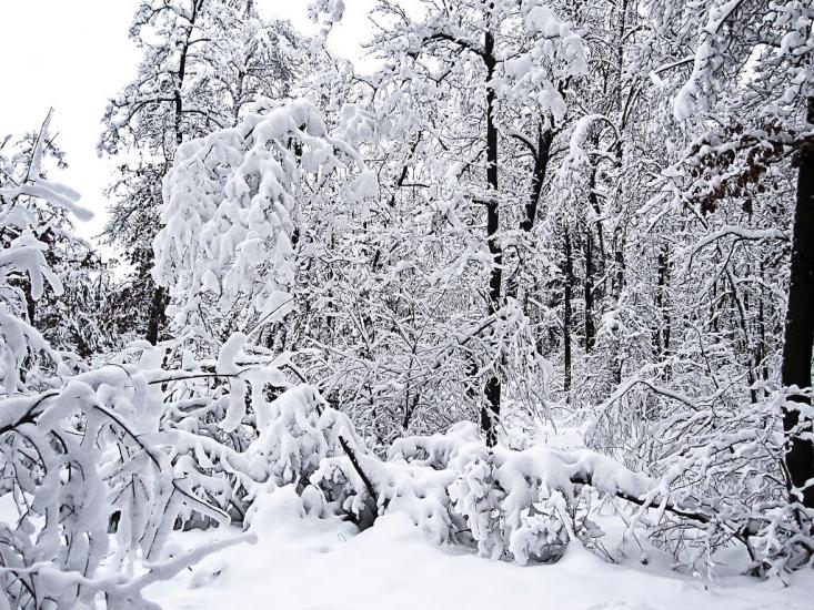 Пугачівка з panoramio.com - Пугачівка