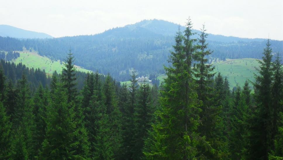 Лавочне з panoramio.com - Лавочное