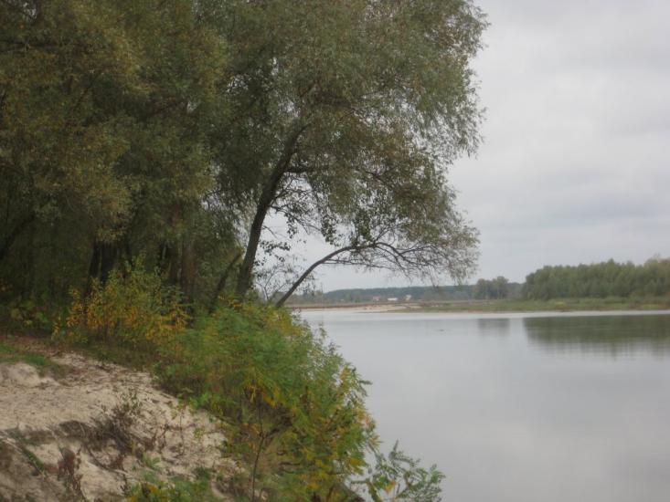 Жукин з panoramio.com - Zhukyn