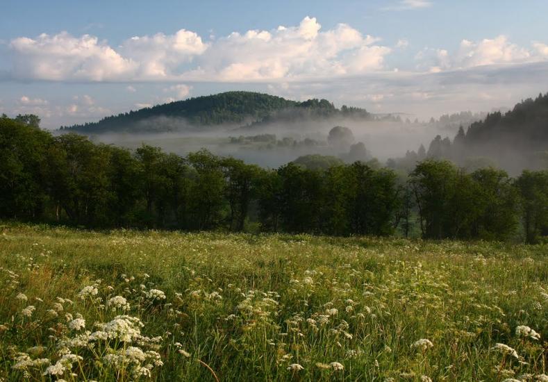 Шандровець з panoramio.com - Shandrovets