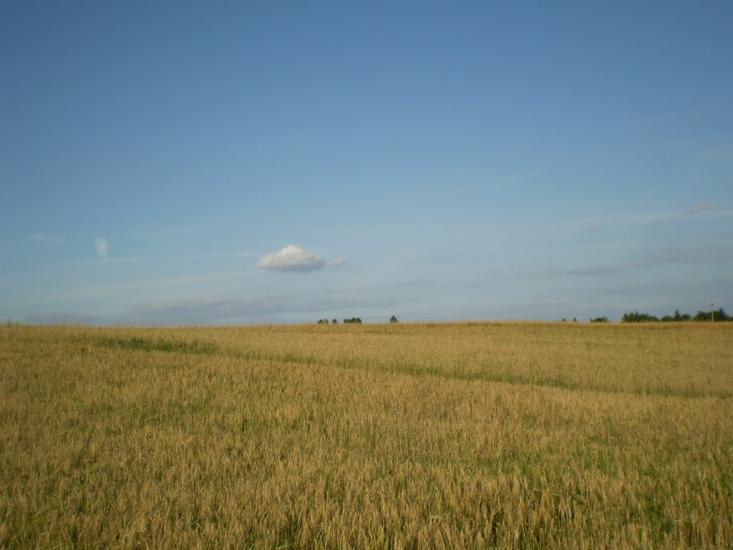 Клебанівка з panoramio.com - Клебанівка