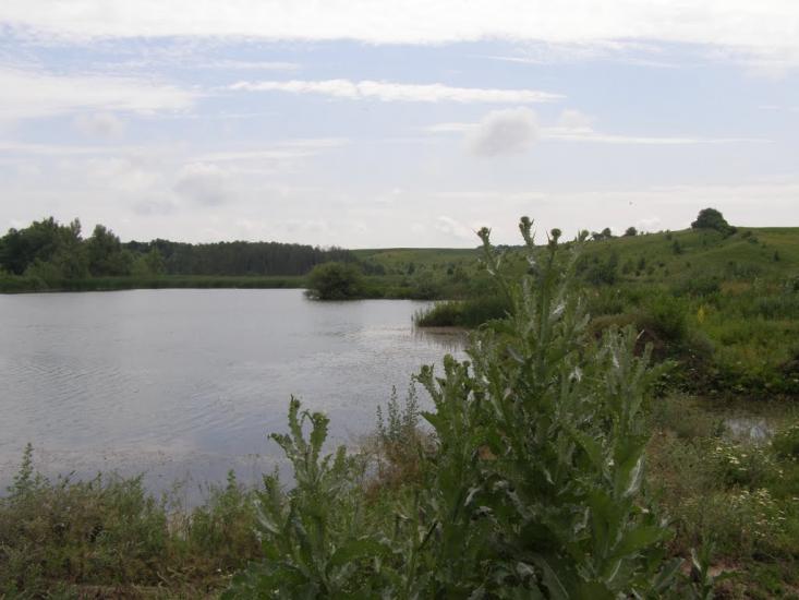 Росоховата з panoramio.com - Росоховата