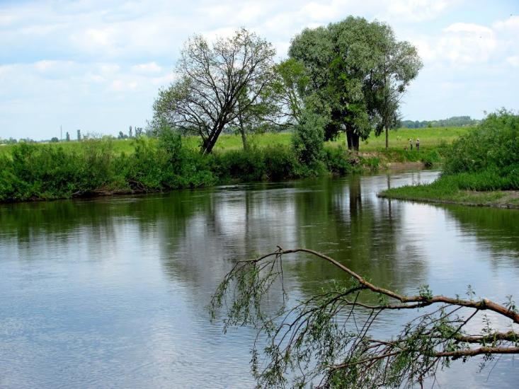 Дубровиця з panoramio.com - Дубровица