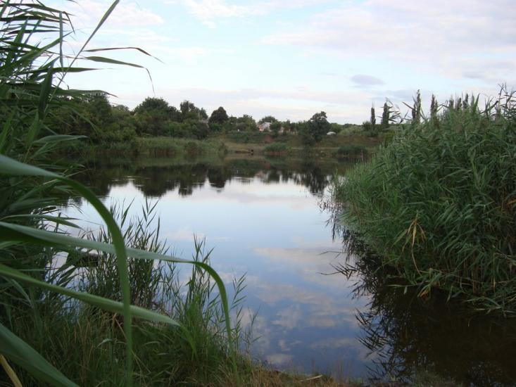 Созонівка з panoramio.com - Созоновка