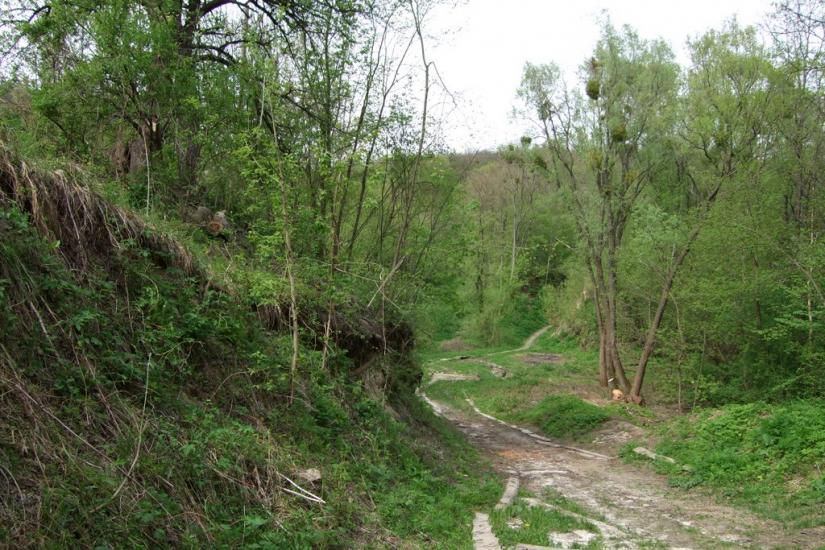 Балико-Щучинка з panoramio.com - Балыко-Щучинка