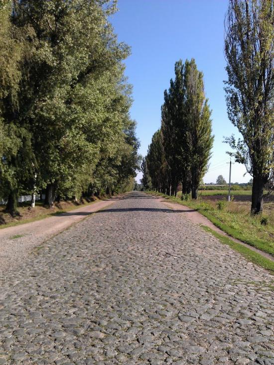 Великі Крушлинці з panoramio.com - Великі Крушлинці