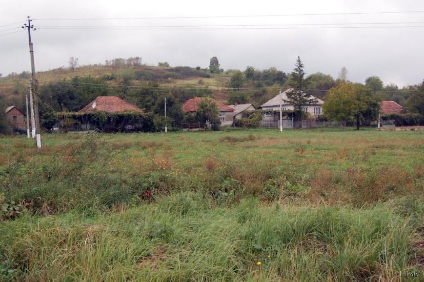 Нижнє Солотвино з panoramio.com - Нижнее Солотвино