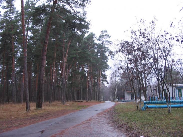 Задонецьке з panoramio.com - Zadonetske