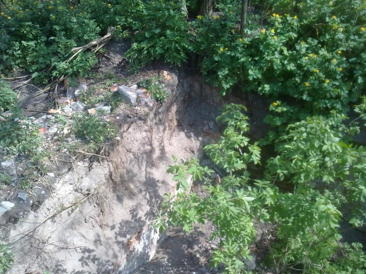 Стара Гнилиця з panoramio.com - Старая Гнилица