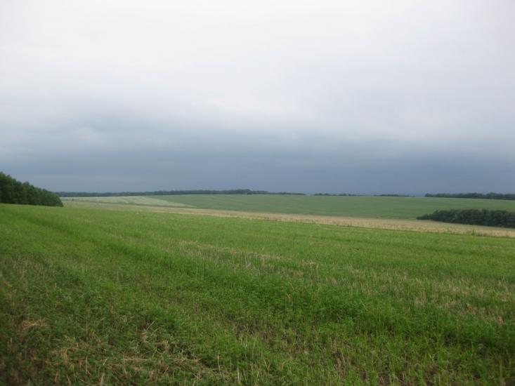 Садки з panoramio.com - Садки