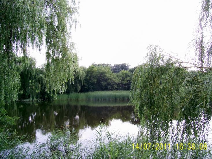 Романівка з panoramio.com - Романівка