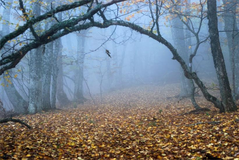 Громівка з panoramio.com - Громівка