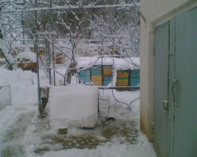 Нижньогірський з panoramio.com - Нижньогірський