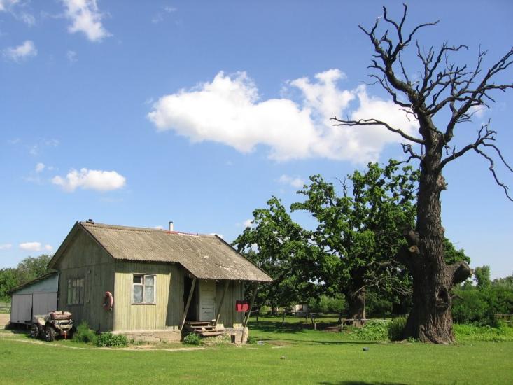 Романків з panoramio.com - Романков