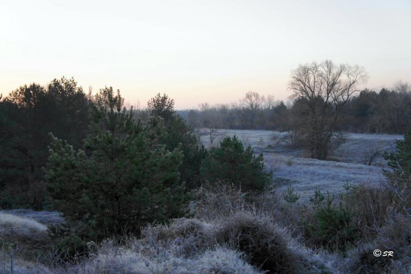 Шульгівка з panoramio.com - Шульговка