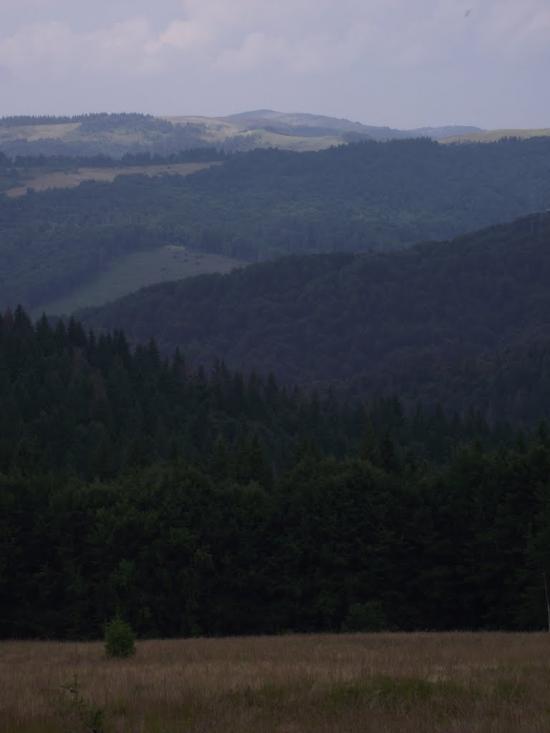 Лавочне з panoramio.com - Лавочное