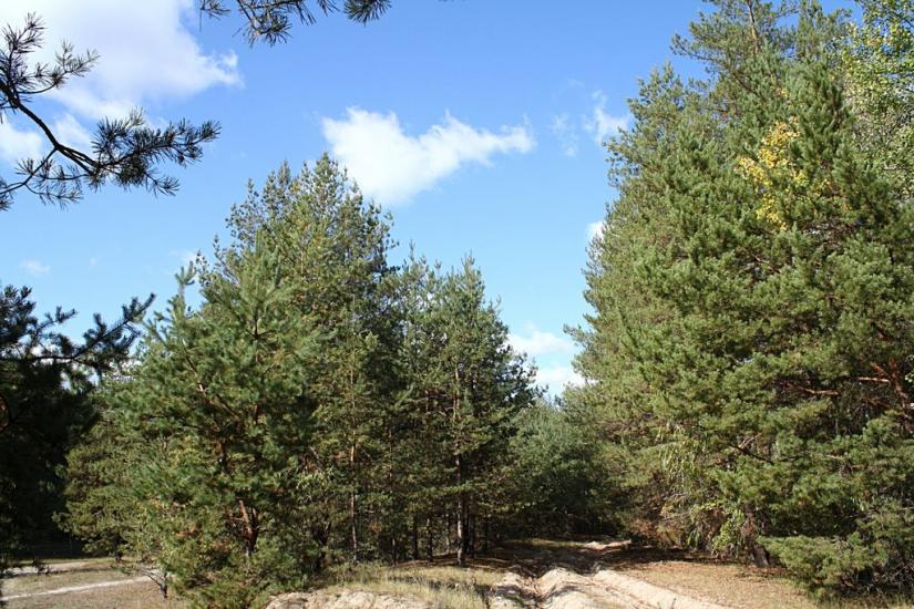 Чугуїв з panoramio.com - Чугуев