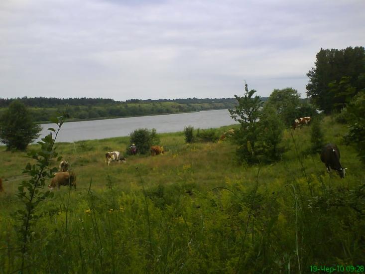 Нижча Кропивна з panoramio.com - Нижча Кропивна