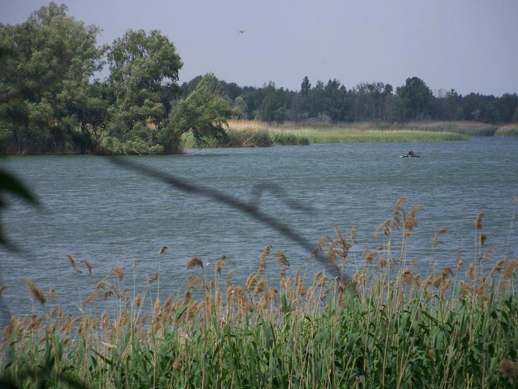 Леськи з panoramio.com - Леськи