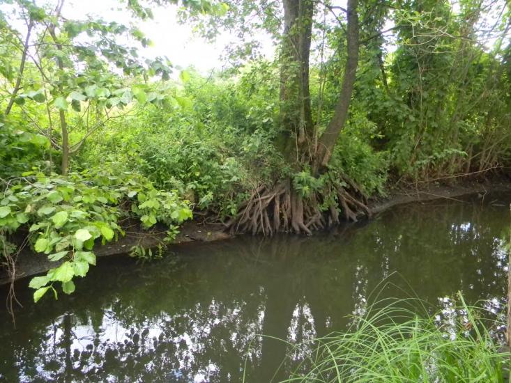 Хрипівка з panoramio.com - Хрипівка