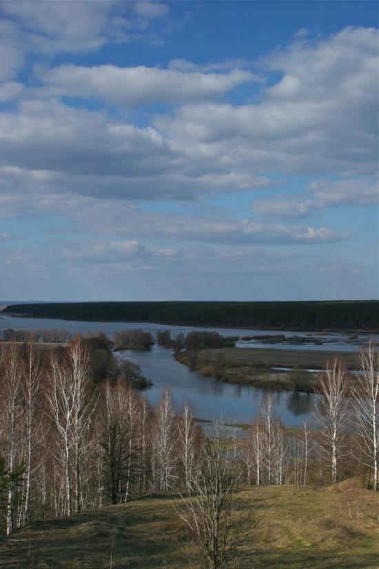 Радичів з panoramio.com - Радичев