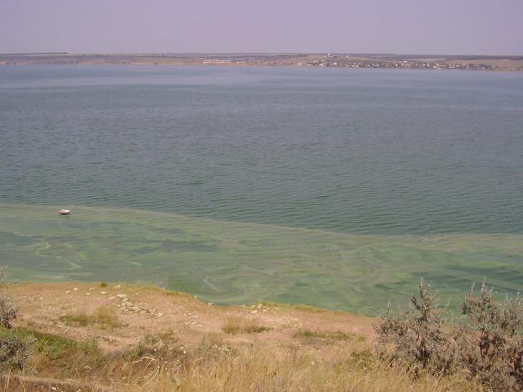 Мале з panoramio.com - Male