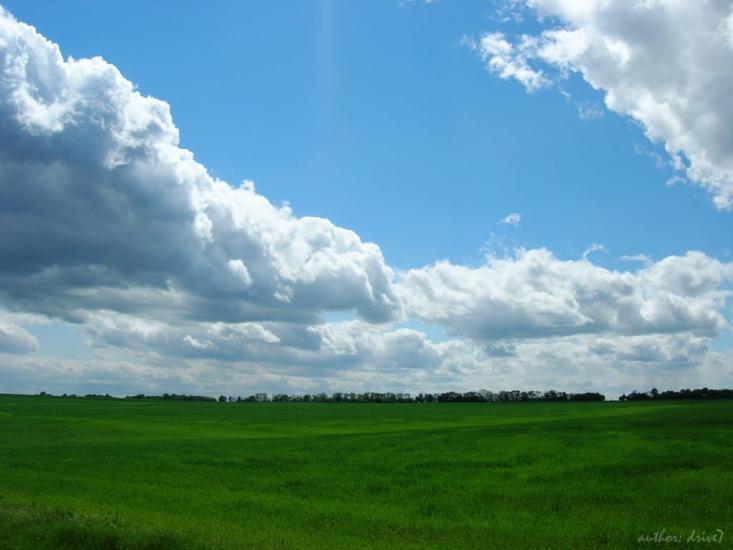 Новоіванівка з panoramio.com - Новоіванівка