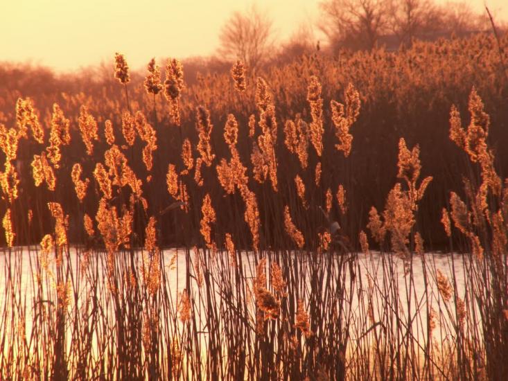 Вільнянськ з panoramio.com - Вільнянськ