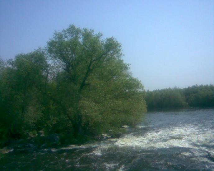 Синява з panoramio.com - Synyava