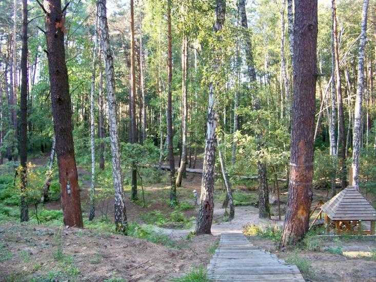 Кролевець з panoramio.com - Кролевец