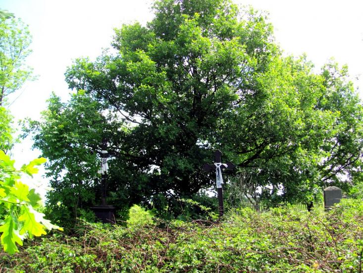 Карасин з panoramio.com - Карасин