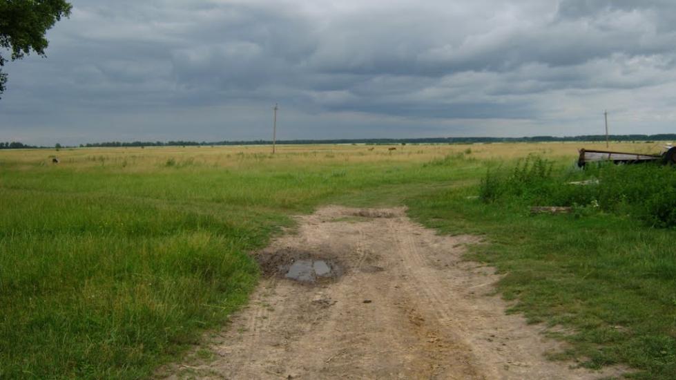 Підлісне з panoramio.com - Підлісне