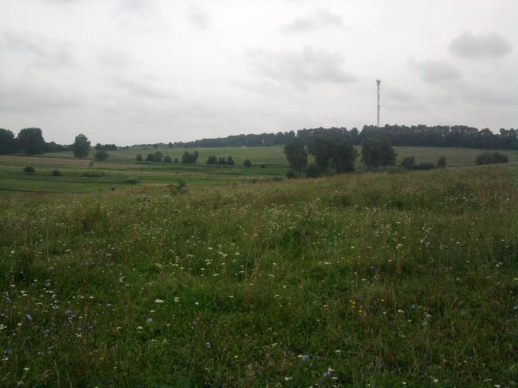 Глушківці з panoramio.com - Глушківці