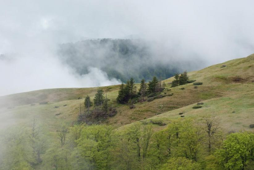 Білин з panoramio.com - Білин