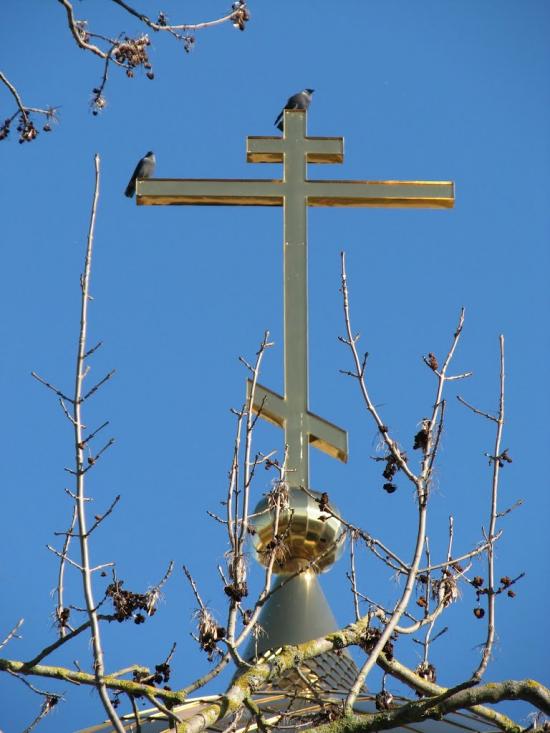 Маків з panoramio.com - Makiv
