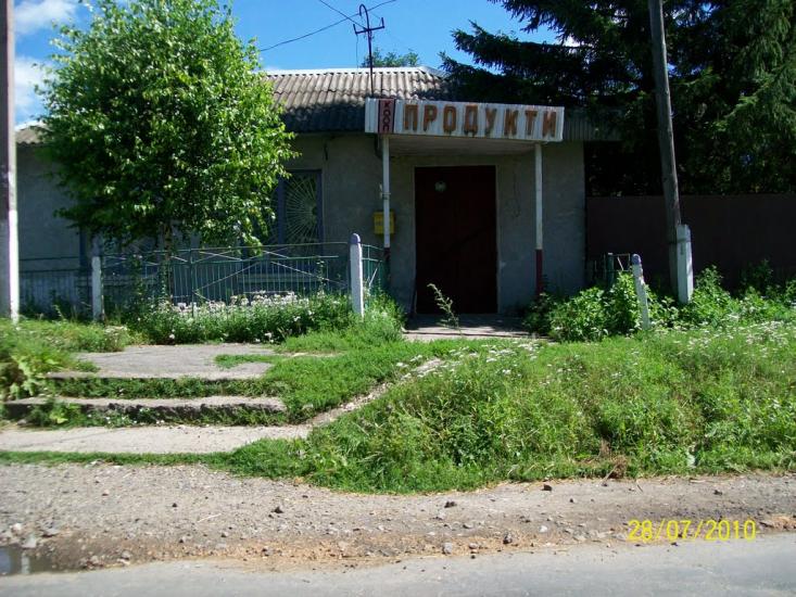 Ружичанка з panoramio.com - Ruzhychanka