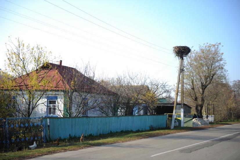 Нова Оржиця з panoramio.com - Нова Оржиця