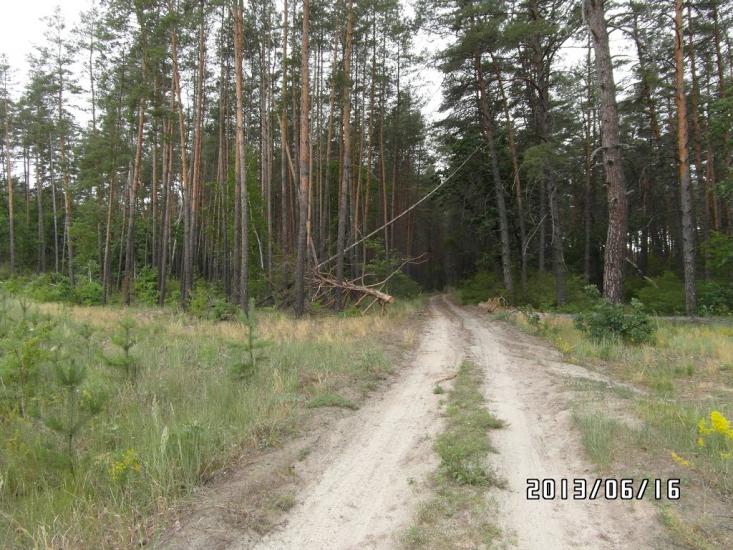 Скрипаї з panoramio.com - Скрипаи