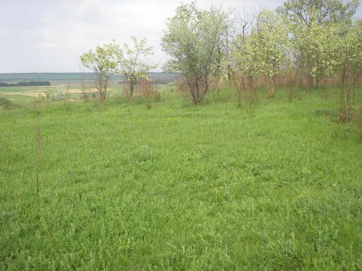 Катеринка з panoramio.com - Катеринка