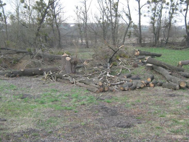 Красна Слобідка з panoramio.com - Красна Слобідка
