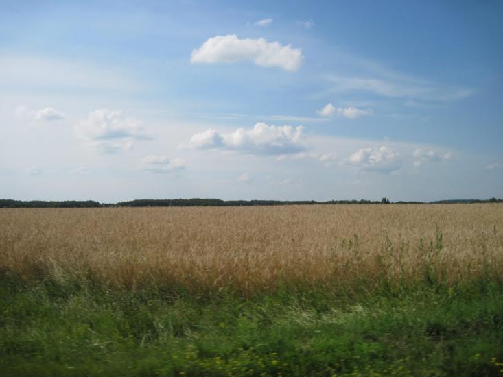 Шевченкове з panoramio.com - Шевченковое