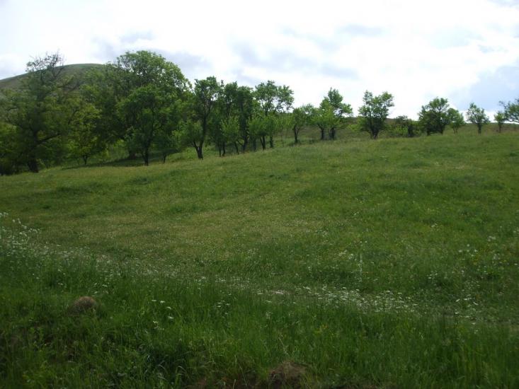 Могилівка з panoramio.com - Могилевка