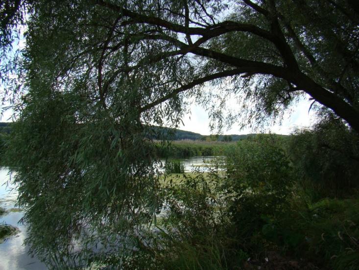 Нижній Бишкин з panoramio.com - Нижній Бишкин