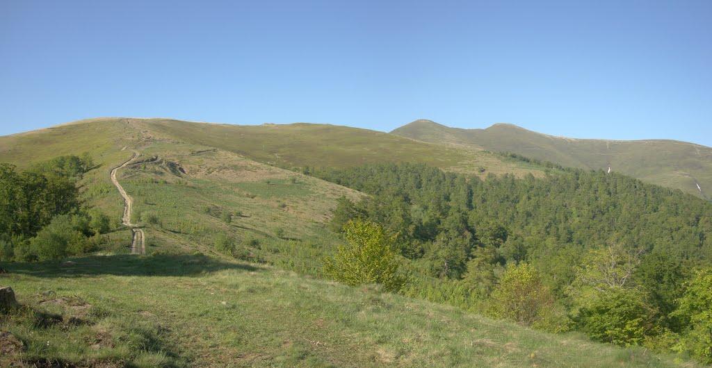 Вовчий з panoramio.com - Вовчий