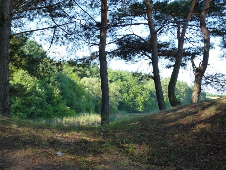 Медвин з panoramio.com - Медвин